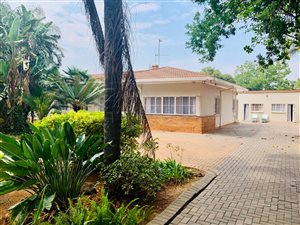 13 Bed House in Colbyn