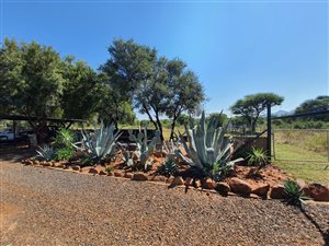 28.3 ha Farm in Koster
