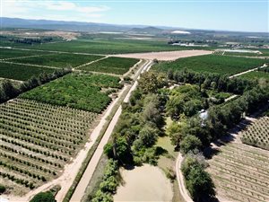 67.4 ha Farm in Kirkwood