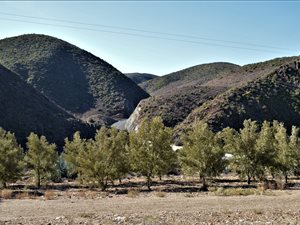 4 ha Farm in Calitzdorp