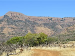 1000 m² Land available in Machadodorp