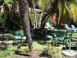 1 Bed House in Sea Point