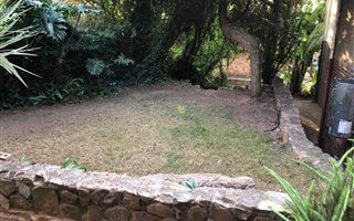2 Bedroom Garden Cottage in Northcliff