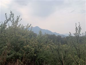 1200 m² Land available in Clarens