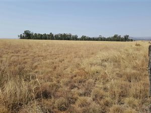 5.5 ha Smallholding in Rooiwal