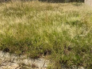 367 m² Land available in Mahlasedi Park