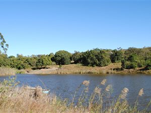 12 ha Farm in Sonheuwel