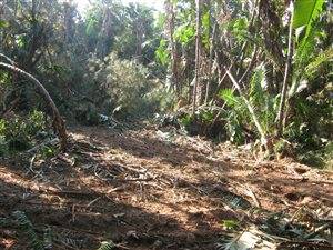 1965 m² Land available in Southbroom