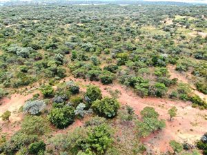 2607 m² Land available in Verloren Estate
