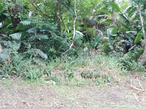 1333 m² Land available in Marina Beach