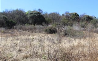 1130 m² Land available in Ville D Afrique