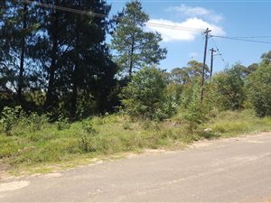 1388 m² Land available in Dullstroom