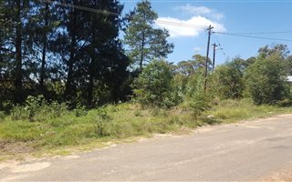 1388 m² Land available in Dullstroom