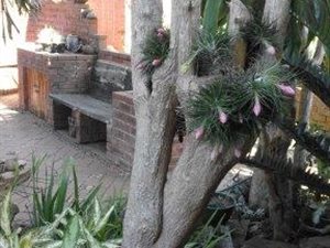 1 Bed Garden Cottage in Herrwood Park