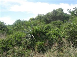 693 m² Land available in Kenton-on-Sea