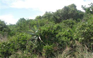 693 m² Land available in Kenton-on-Sea