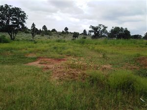 1554 m² Land available in Kameeldrift East