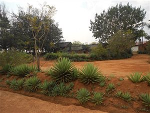 22.2 ha Farm in Honingnestkrans