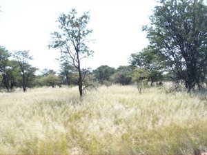 2484 ha Farm in Mmabatho