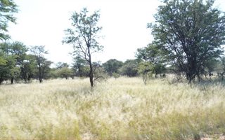 2484 ha Farm in Mmabatho