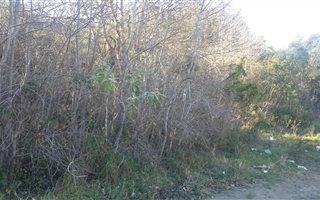 4108 m² Land available in Pacaltsdorp