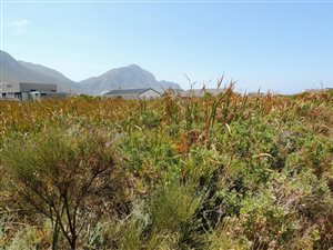 667 m² Land available in Bettys Bay