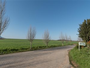 54 ha Farm in Stellenbosch Agricultural
