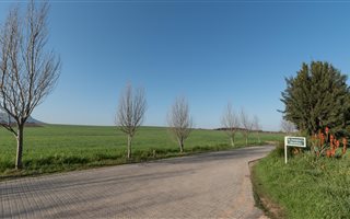 54.6 ha Farm in Stellenbosch Agricultural