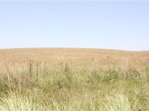 211 ha Farm in Kinross