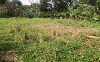 1837 m² Land available in Eshowe