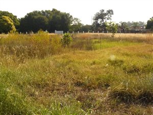 1 ha Land available in Annlin