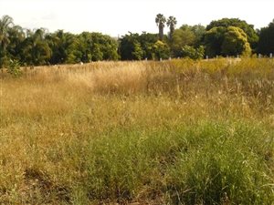1 ha Land available in Annlin