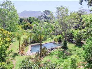 4 Bed House in Constantia