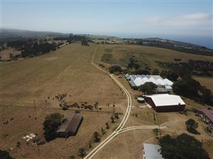 99 ha Land available in Hansmoeskraal