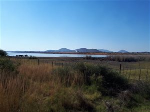 55 ha Farm in Mokopane
