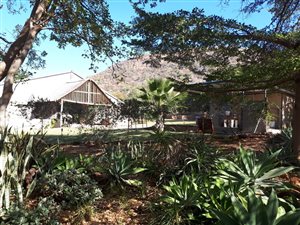 55 ha Farm in Mokopane