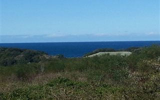 593 m² Land available in Glen Eden