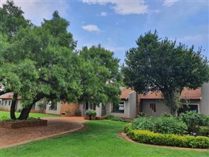 6 Bed House in Walkerville