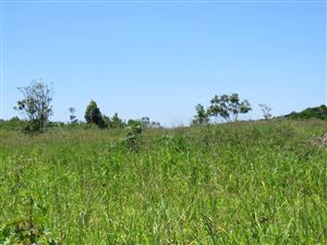 1071 m² Land available in Seaton Estate