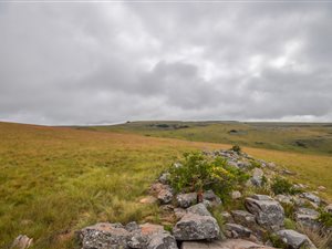391.8 ha Farm in Machadodorp