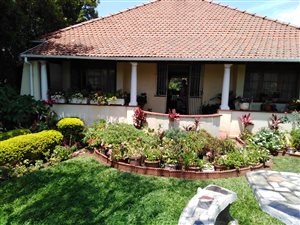 3 Bed House in Umbilo