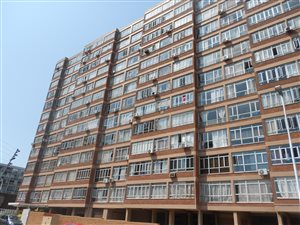 2.5 Bed Apartment in North Beach