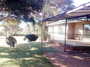 1.7 ha Farm in Cullinan