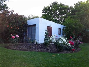 1 Bed Garden Cottage in Stellenbosch Central