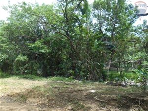 2069 m² Land available in Hibberdene