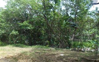 2069 m² Land available in Hibberdene