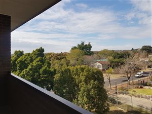 Bachelor apartment in Queenswood