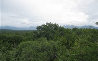 1 ha Land available in Lissataba