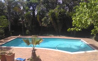 Studio apartment in Alphen Park