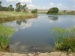 1200 m² Land available in Vaal Dam